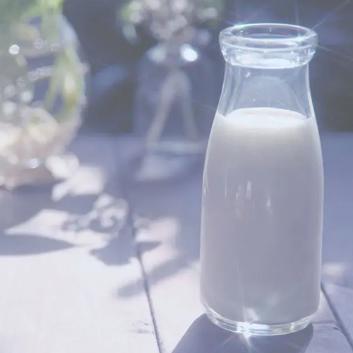 俄羅斯純牛奶經(jīng)銷(xiāo)商