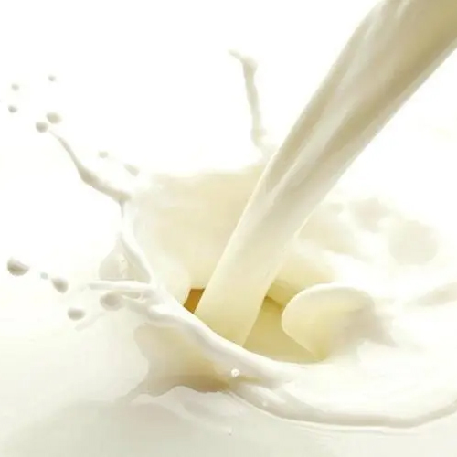 俄羅斯純牛奶經(jīng)銷(xiāo)商